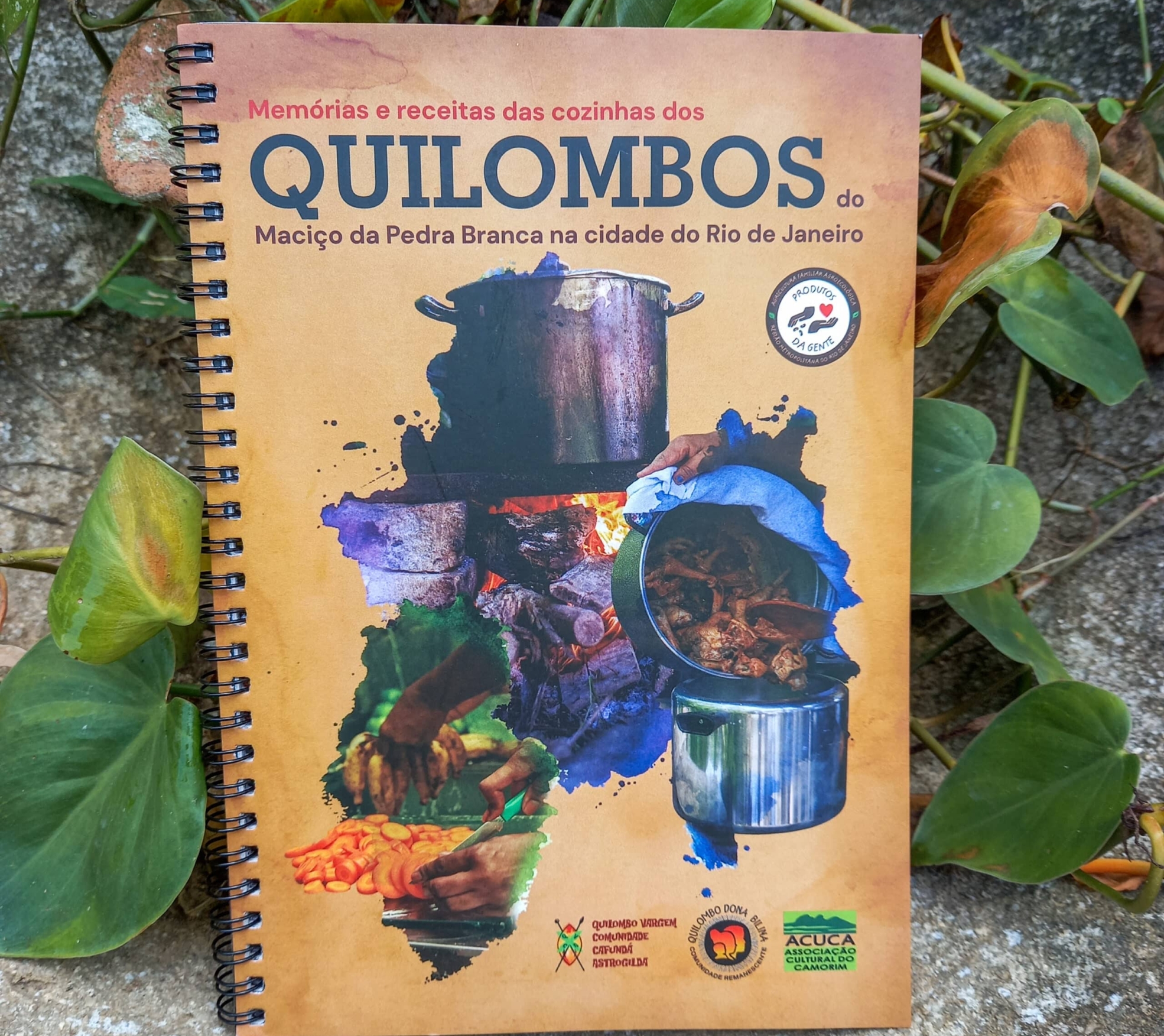Memórias e receitas das cozinhas dos Quilombos do Maciço da Pedra Branca - Rio de janeiro